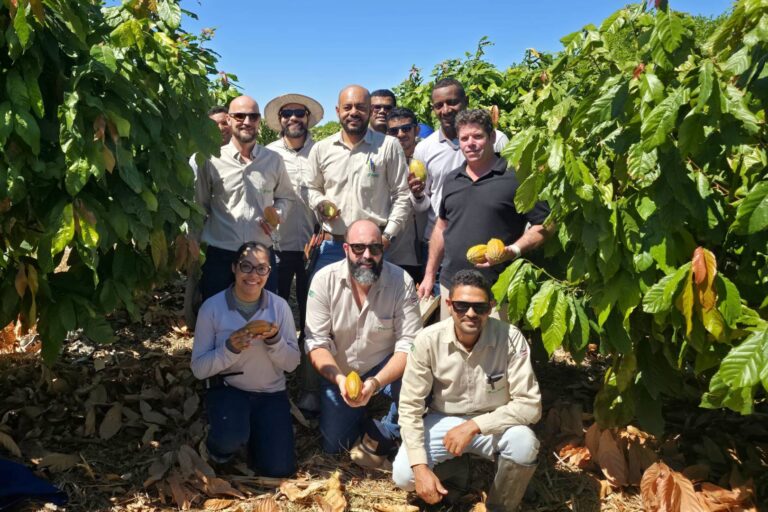 Cacao Harvest Featured Peirot Agrobusiness Bahia - Team gathered with first fruits clipped from trees