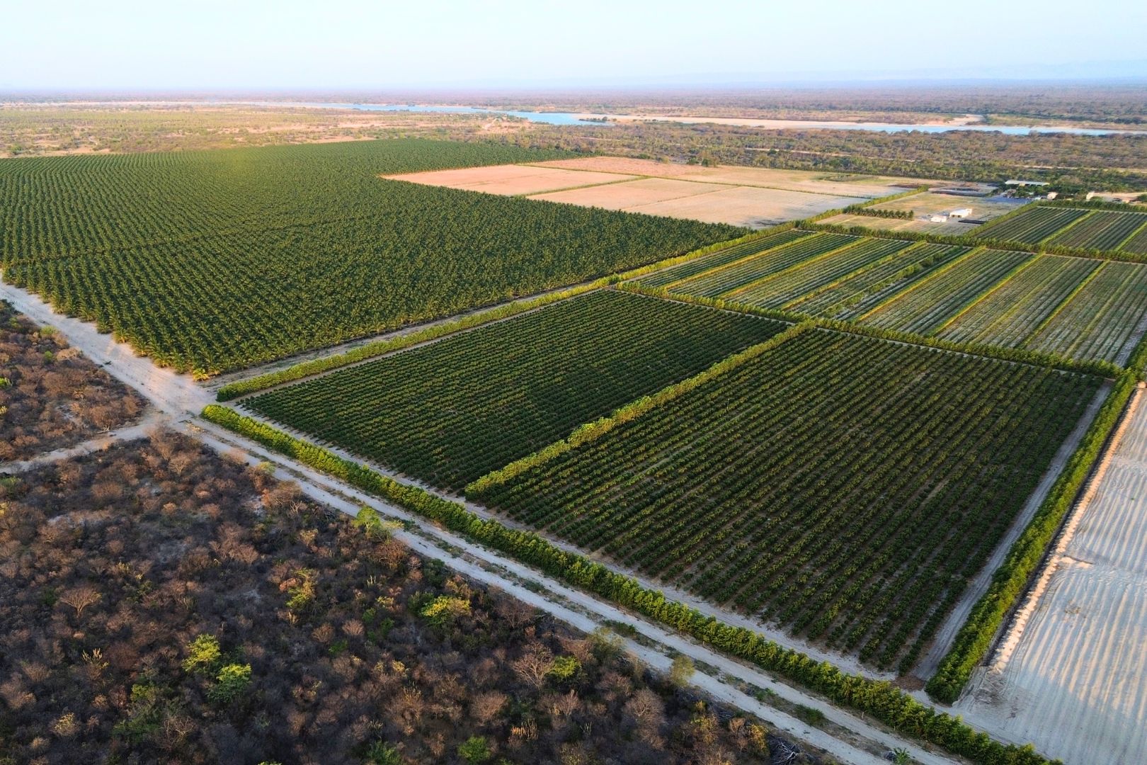 Peirot Aerial View